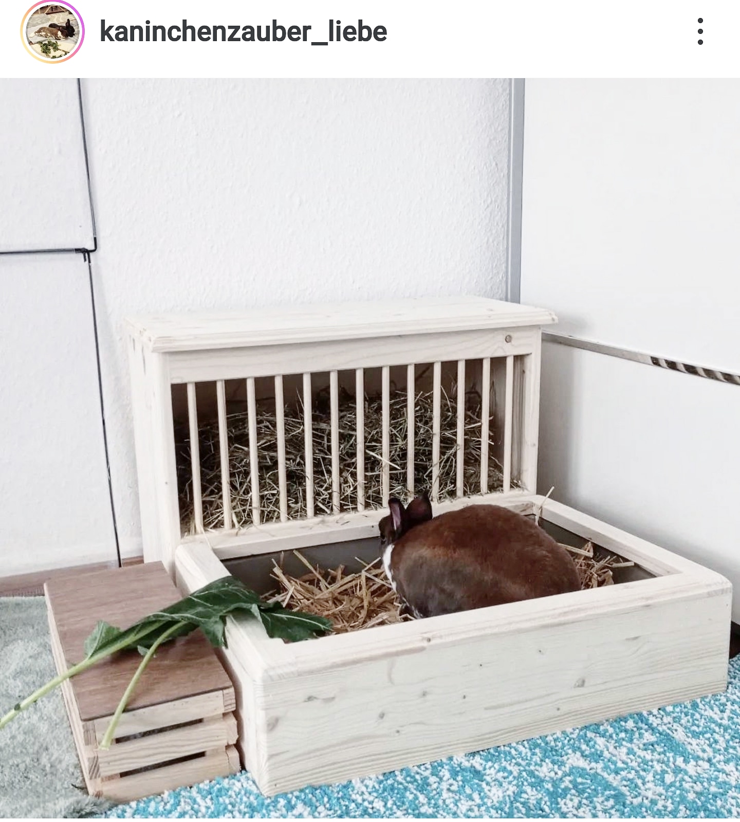 kaninchentoilette-mit-heuraufe-xl-set